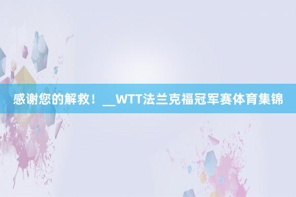 感谢您的解救！__WTT法兰克福冠军赛体育集锦