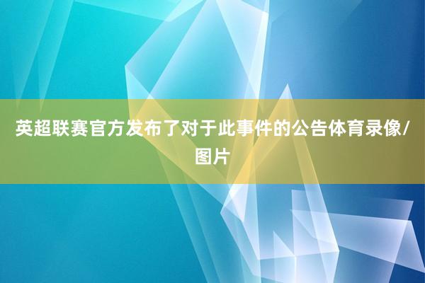 英超联赛官方发布了对于此事件的公告体育录像/图片