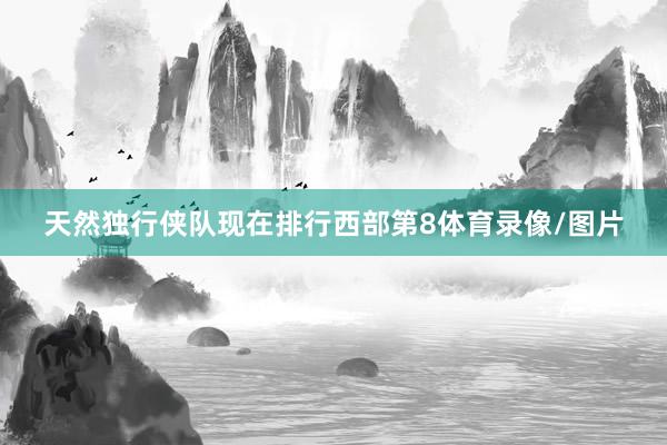 天然独行侠队现在排行西部第8体育录像/图片