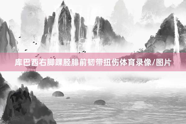 库巴西右脚踝胫腓前韧带扭伤体育录像/图片