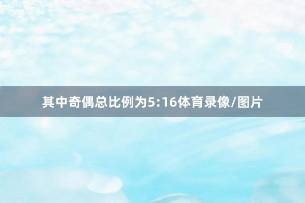 其中奇偶总比例为5:16体育录像/图片