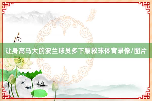 让身高马大的波兰球员多下腰救球体育录像/图片