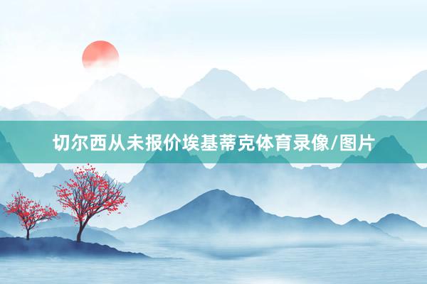 切尔西从未报价埃基蒂克体育录像/图片