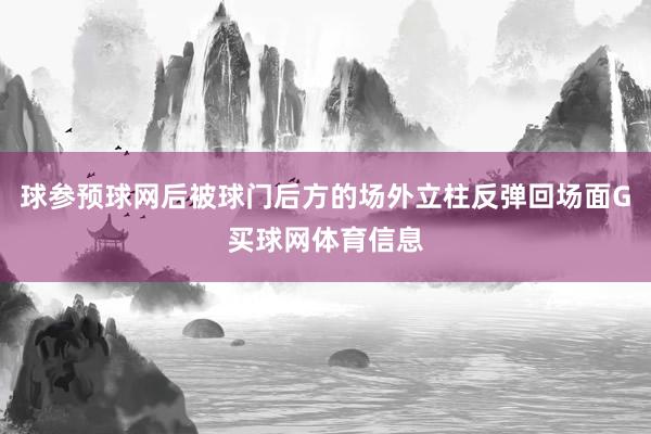 球参预球网后被球门后方的场外立柱反弹回场面G买球网体育信息