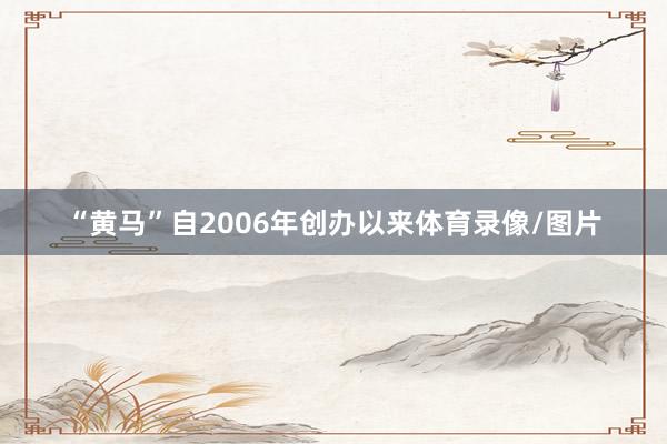“黄马”自2006年创办以来体育录像/图片