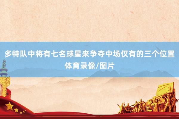 多特队中将有七名球星来争夺中场仅有的三个位置体育录像/图片
