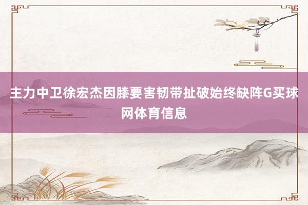 主力中卫徐宏杰因膝要害韧带扯破始终缺阵G买球网体育信息