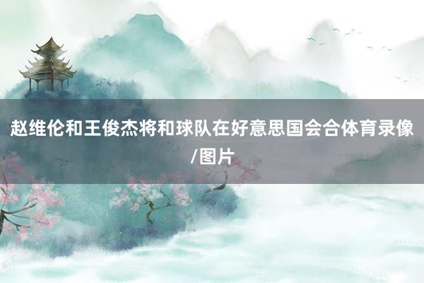 赵维伦和王俊杰将和球队在好意思国会合体育录像/图片