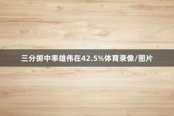 三分掷中率雄伟在42.5%体育录像/图片