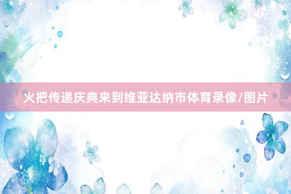火把传递庆典来到维亚达纳市体育录像/图片