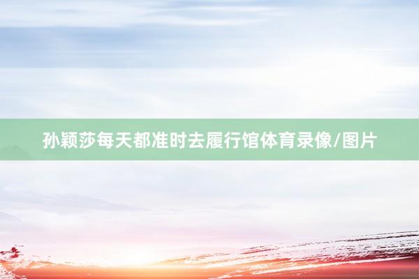 孙颖莎每天都准时去履行馆体育录像/图片