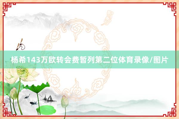 杨希143万欧转会费暂列第二位体育录像/图片