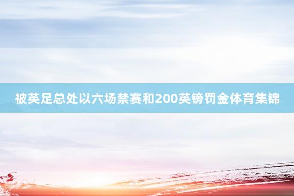 被英足总处以六场禁赛和200英镑罚金体育集锦