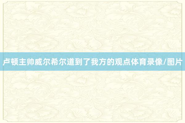 卢顿主帅威尔希尔道到了我方的观点体育录像/图片
