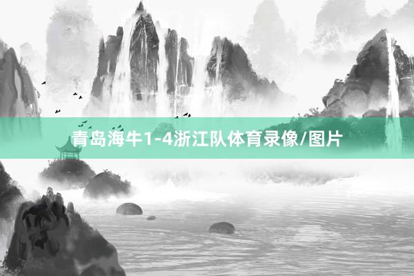 青岛海牛1-4浙江队体育录像/图片