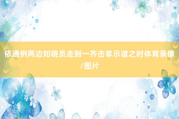 依通例两边知晓员走到一齐击掌示谊之时体育录像/图片