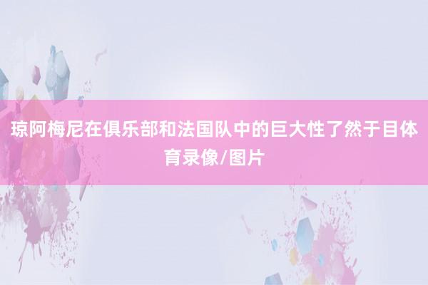 琼阿梅尼在俱乐部和法国队中的巨大性了然于目体育录像/图片