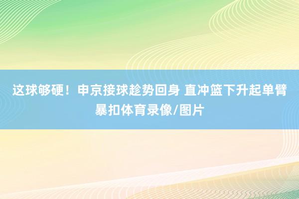 这球够硬！申京接球趁势回身 直冲篮下升起单臂暴扣体育录像/图片