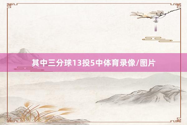 其中三分球13投5中体育录像/图片