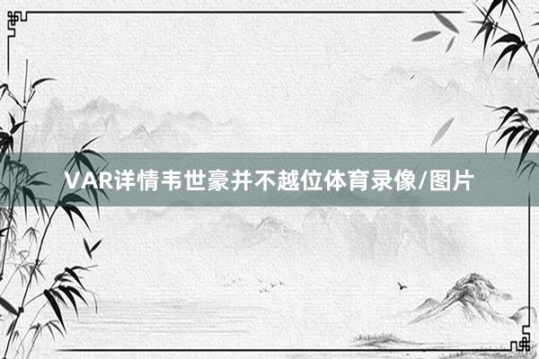 VAR详情韦世豪并不越位体育录像/图片